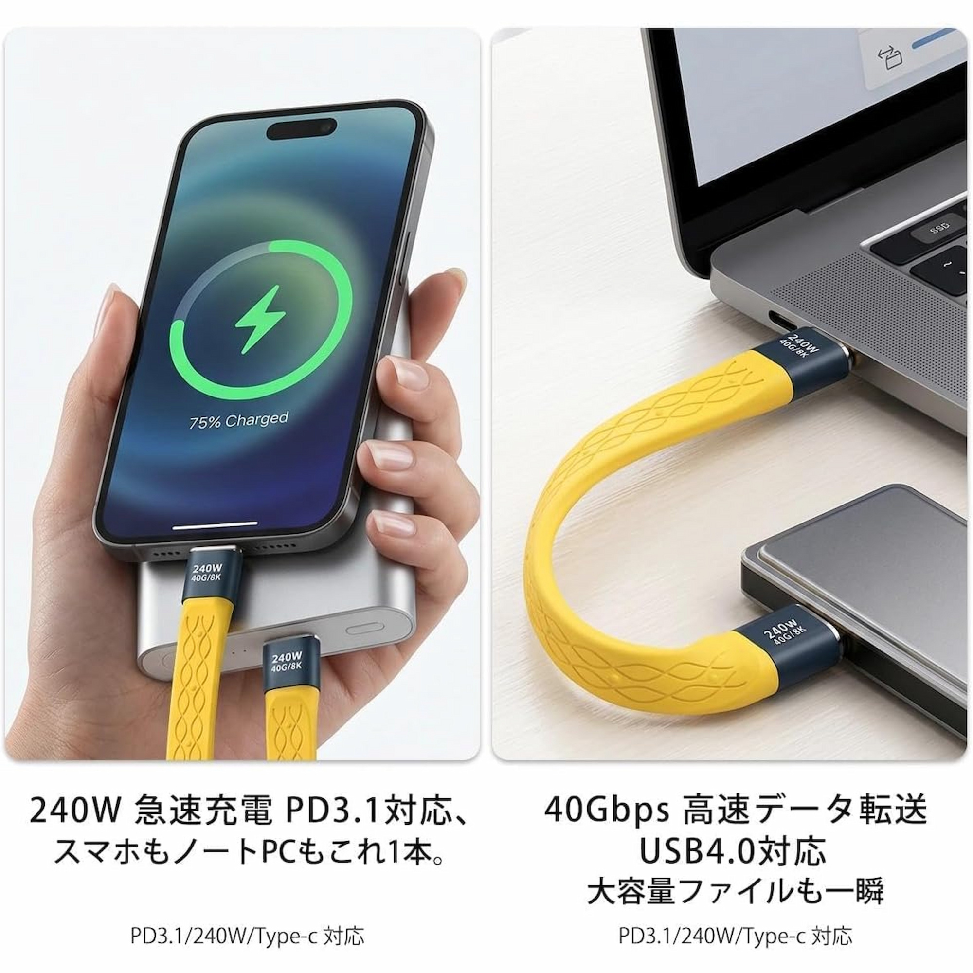 USB C Charging Cable Keychain